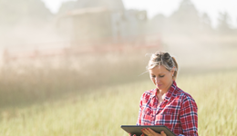 Building business growth: Northants.